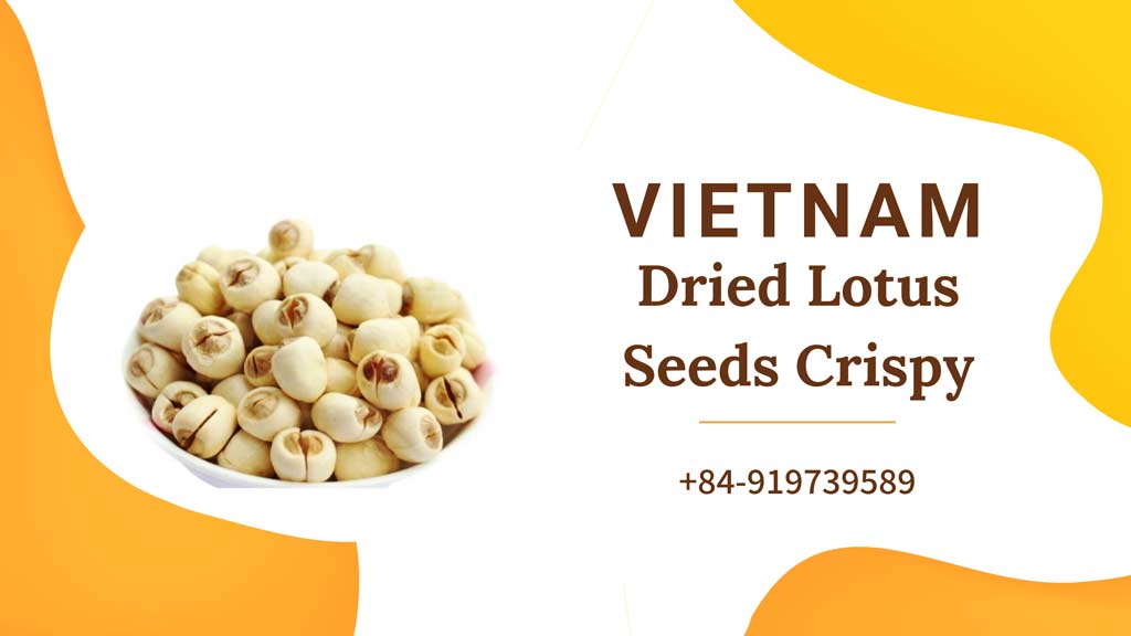 Fruit Buys Vietnam Vietnam Dried Lotus Seeds Crispy
