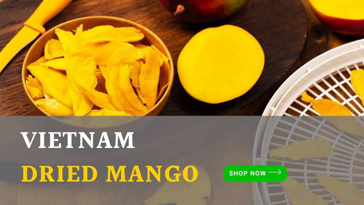 Fruit Buys Vietnam Dried Mango
