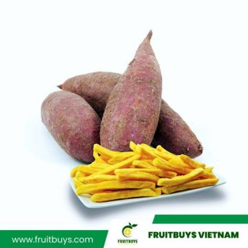 FruitBuys Vietnam  2398 Yellow Sweet Potato (4)