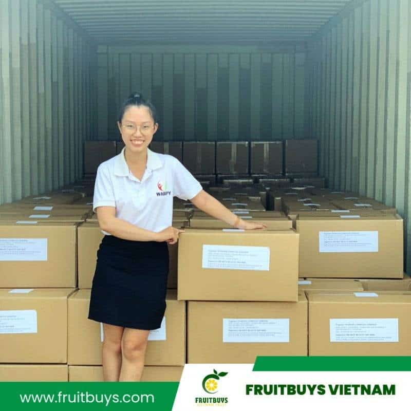 FruitBuys Vietnam Delivery Of Dried Fruit 2304 (13)