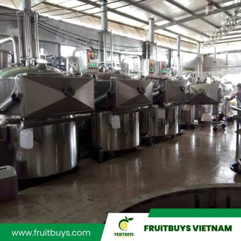 FruitBuys Vietnam Vacuum Frying (VF) Technology (1)