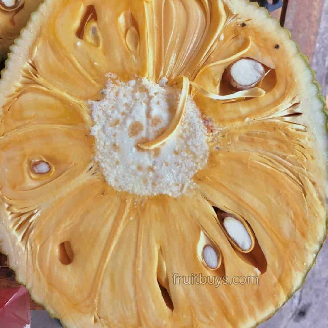 FruitBuys Vietnam Dried Jackfruit No Sugar Added (6)_1