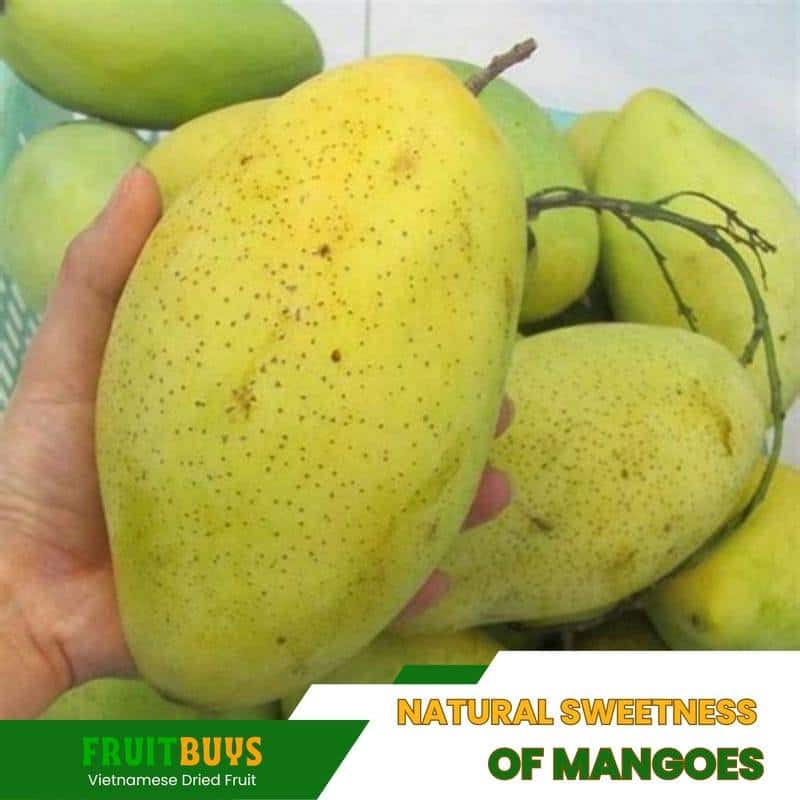FruitBuys Vietnam Dried Mango No Sugar Added 23927
