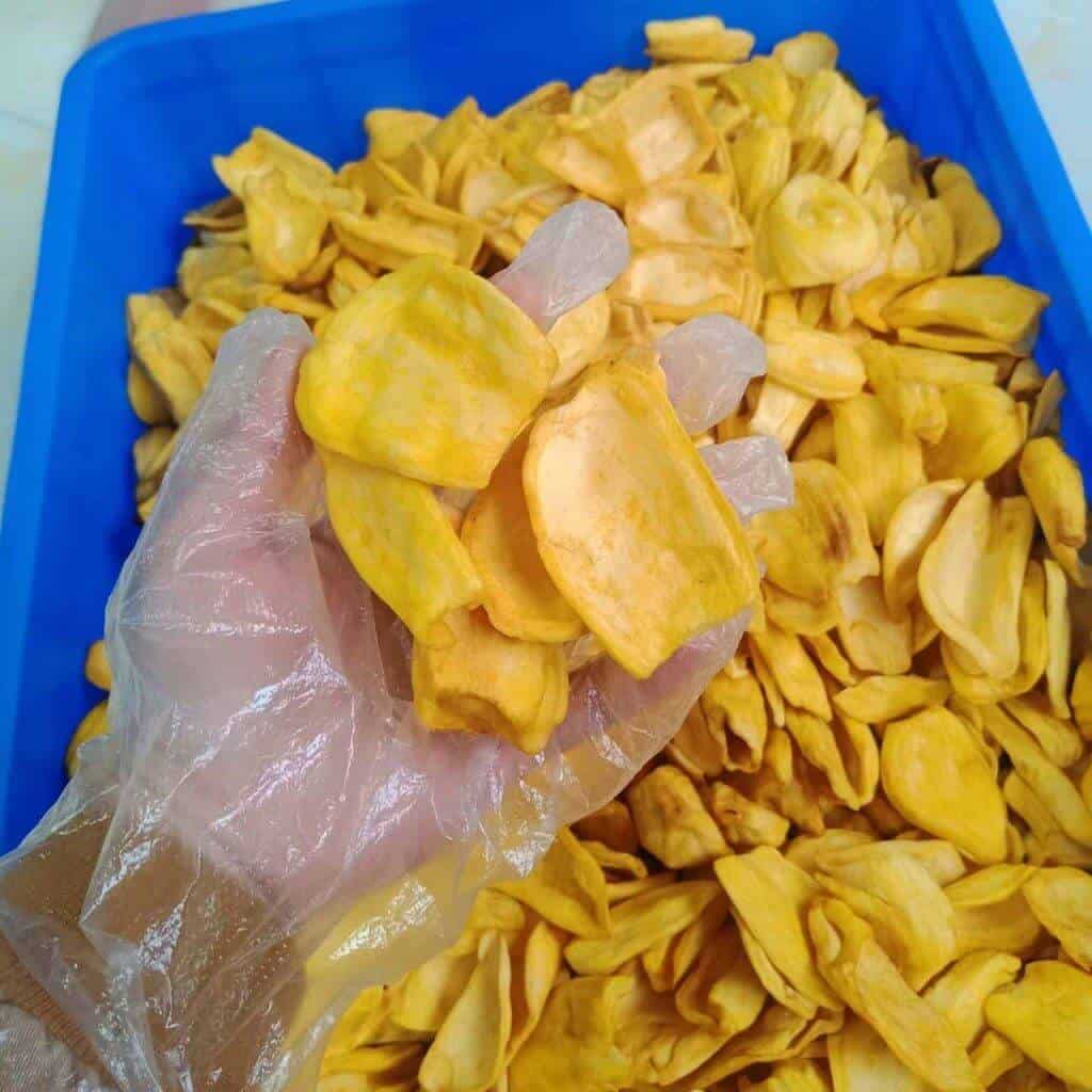 FruitBuys Vietnam Crispy Dried Jackfruit Chips 2343