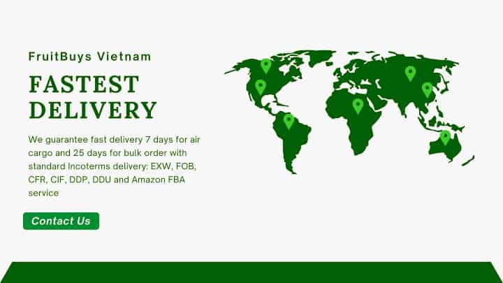 FruitBuys Vietnam 2023 Fastest delivery FruitBuys 1