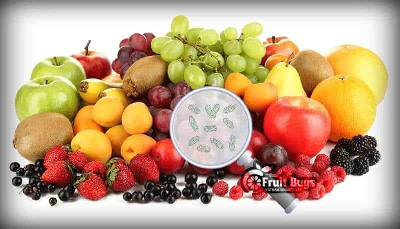 FruitBuys Vietnam What Are The Additives And Contaminants In Dried Fruit And Food