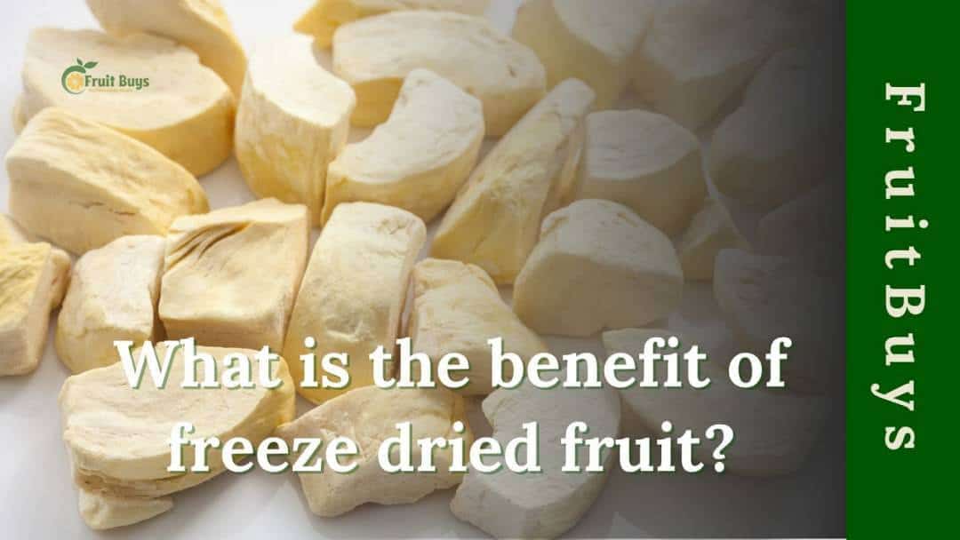 FruitBuys Vietnam 1 What Is The Benefit Of Freeze Dried Fruit (1)