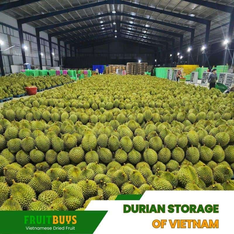 FruitBuys Vietnam Durian Storage Of Vietnam 23930