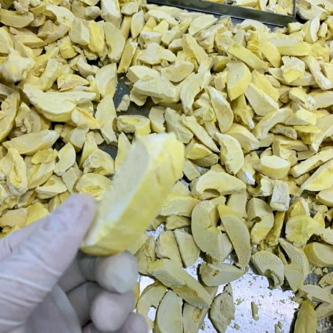 FruitBuys Vietnam Freeze Dried Fruit (29)
