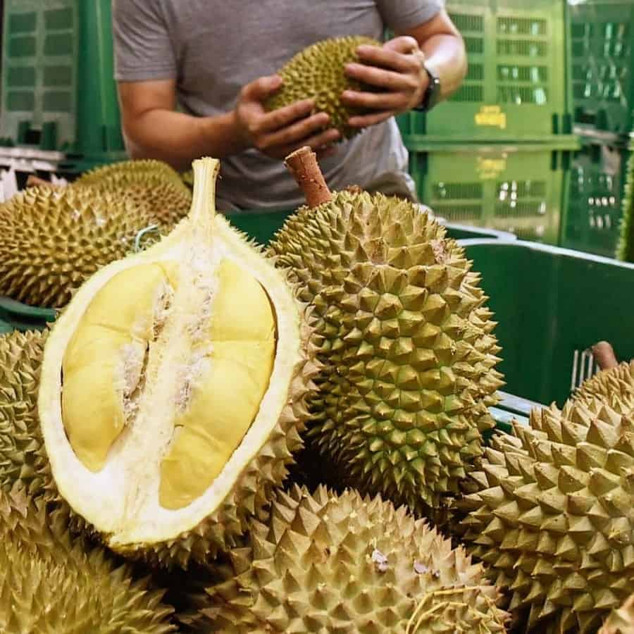 FruitBuys Vietnam Freeze Dried Durian (1)