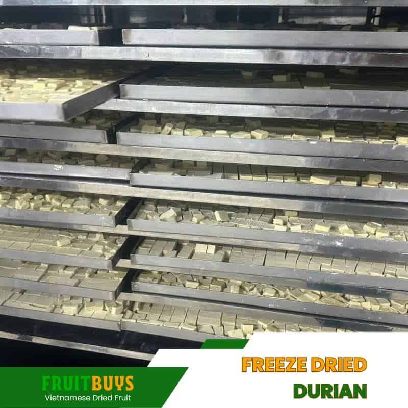 FruitBuys Vietnam Freeze Dried Durian (3) 23929