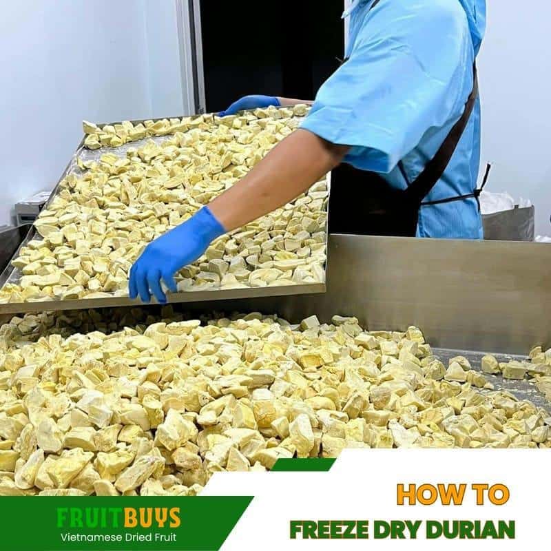 FruitBuys Vietnam How To Freeze Dry Durian 23930