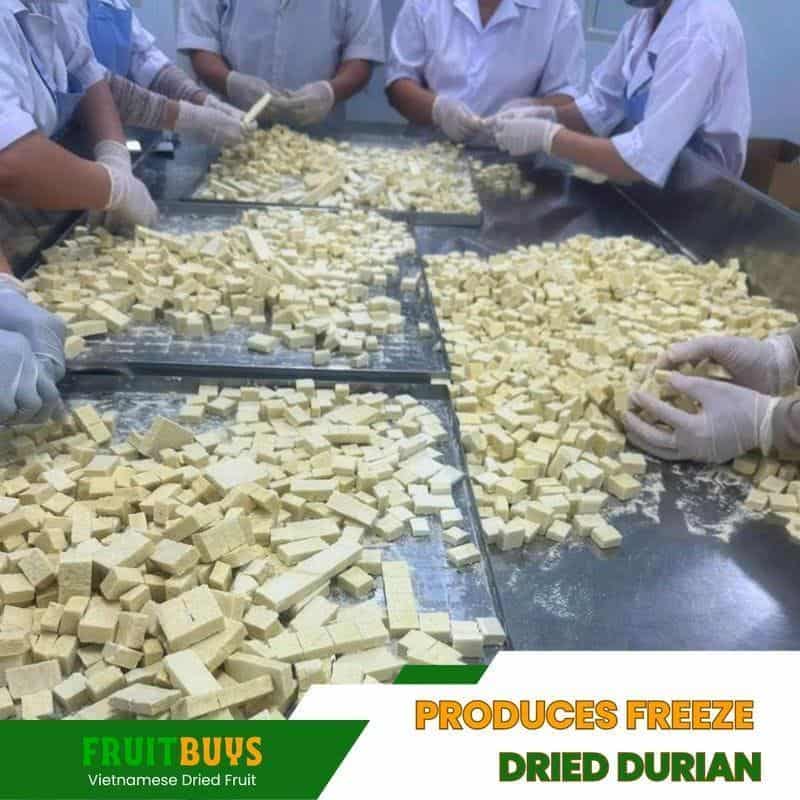 FruitBuys Vietnam Produces Freeze Dried Durian 23929