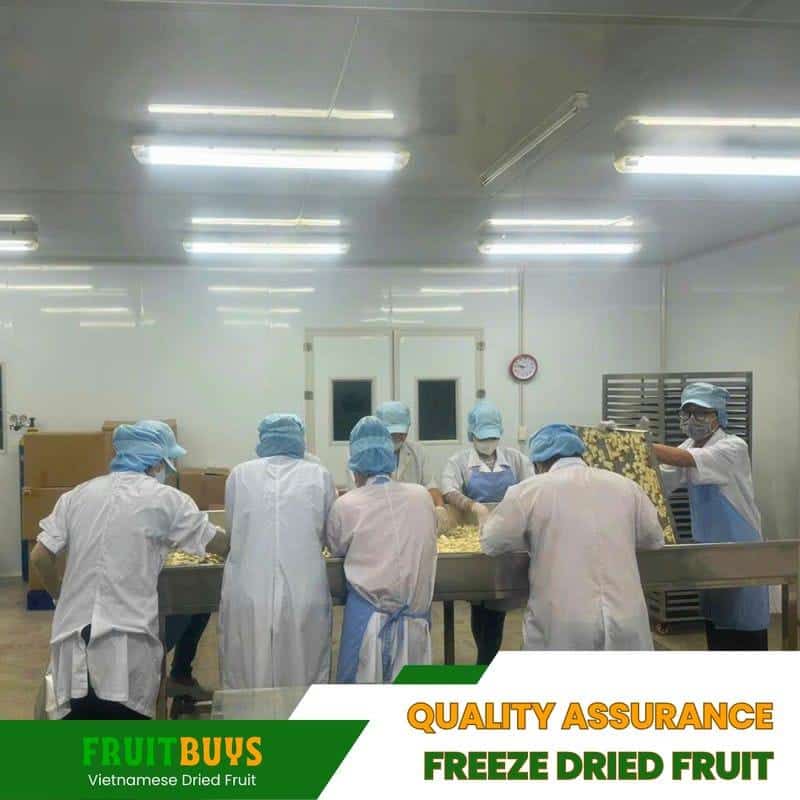 FruitBuys Vietnam Quality Assurance Freeze Dried Fruit 23930