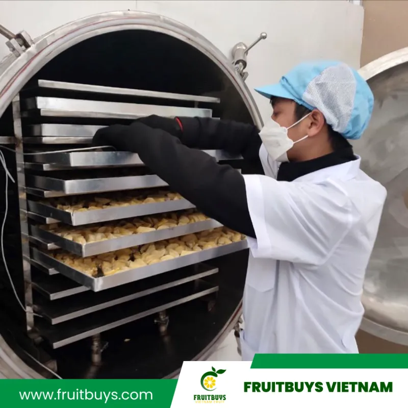 FruitBuys Vietnam  230513 Freeze Dried Durian (37)