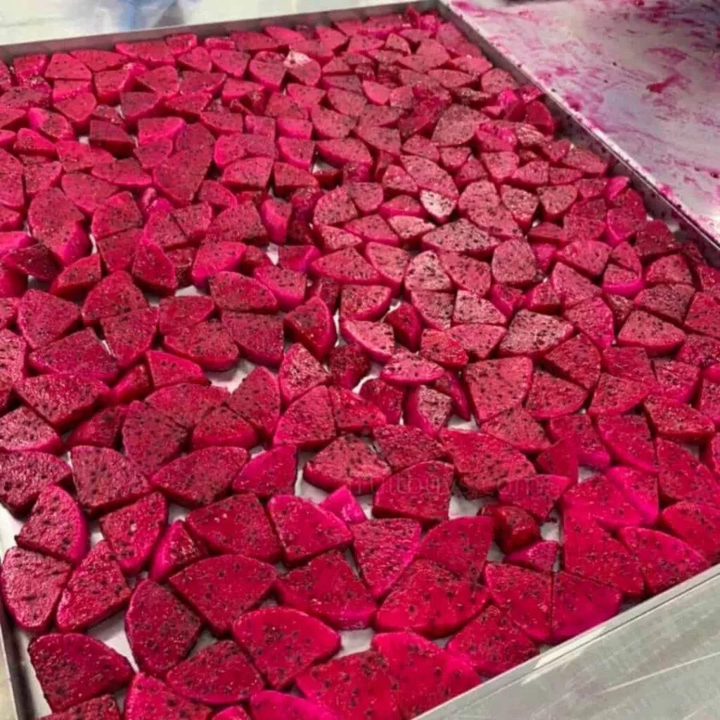 FruitBuys Vietnam Freeze Dried Dragon Fruit (6)