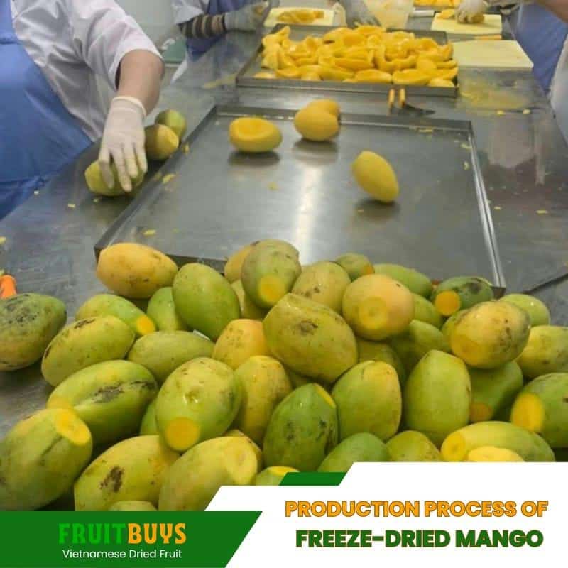 FruitBuys Vietnam Production Process Of Freeze Dried Mango 23927