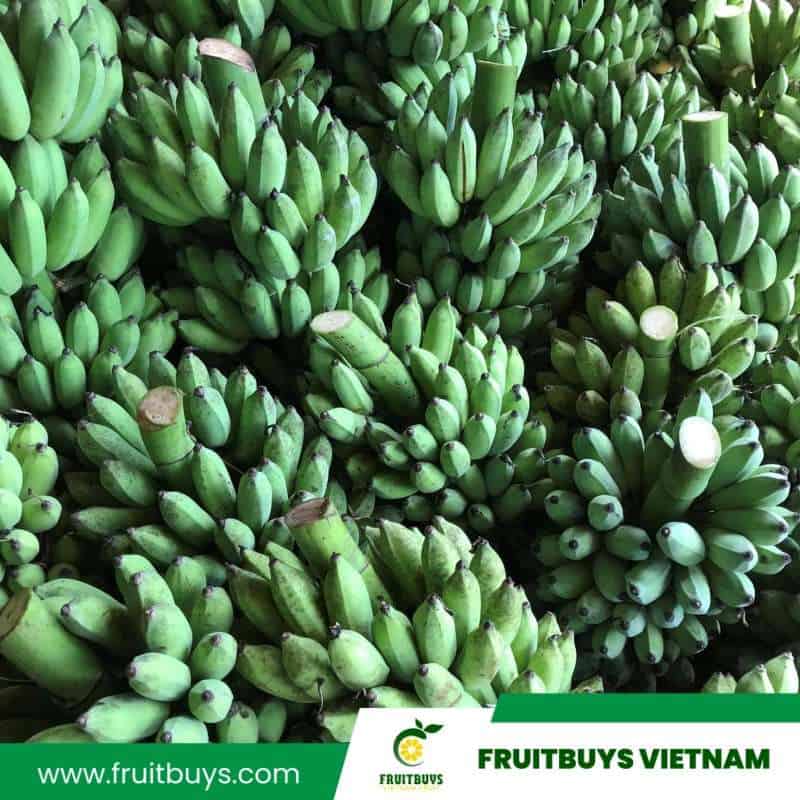 FruitBuys Vietnam 1 Freeze Dried Banana (4)