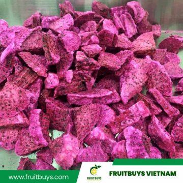 FruitBuys Vietnam  1  Freeze Dried Dragon Fruit  Pitaya (47)