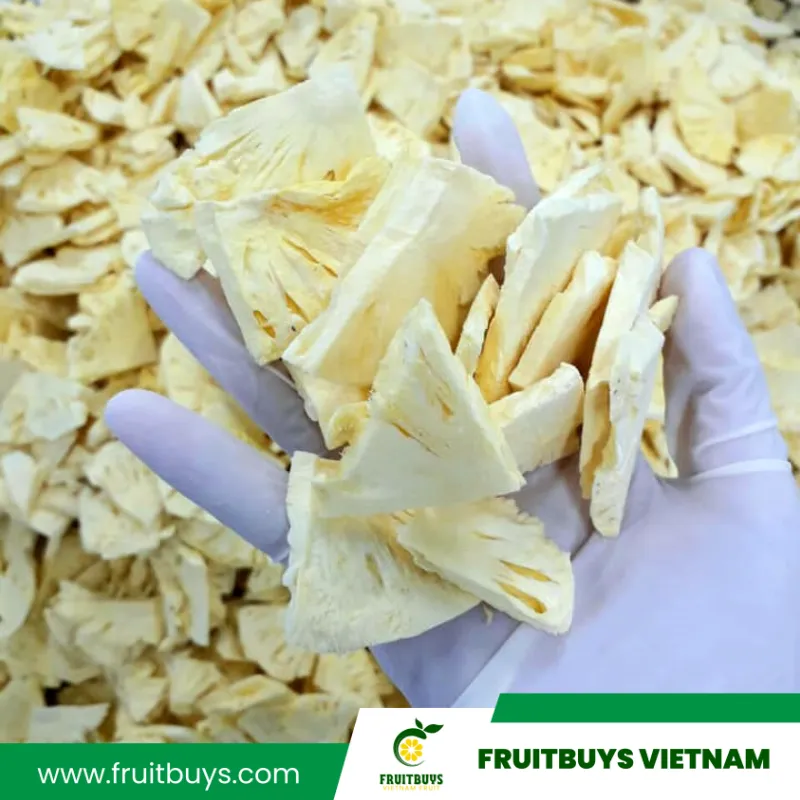 FruitBuys Vietnam  230513 Freeze Dried Pineapple Snacks (12)