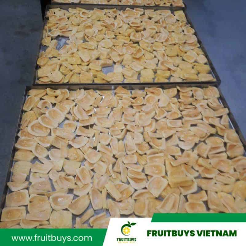 FruitBuys Vietnam  Freeze Dried Jackfruit Healthy Snacks (24)