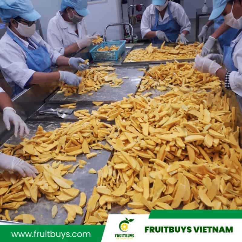 FruitBuys Vietnam  Freeze Dried Mango (1)