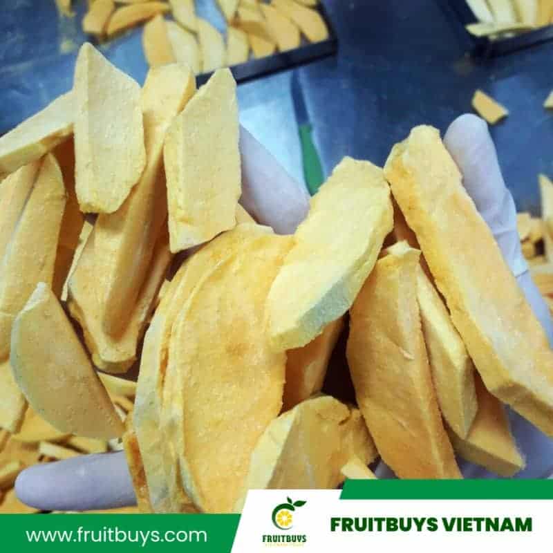FruitBuys Vietnam  Freeze Dried Mango (8)