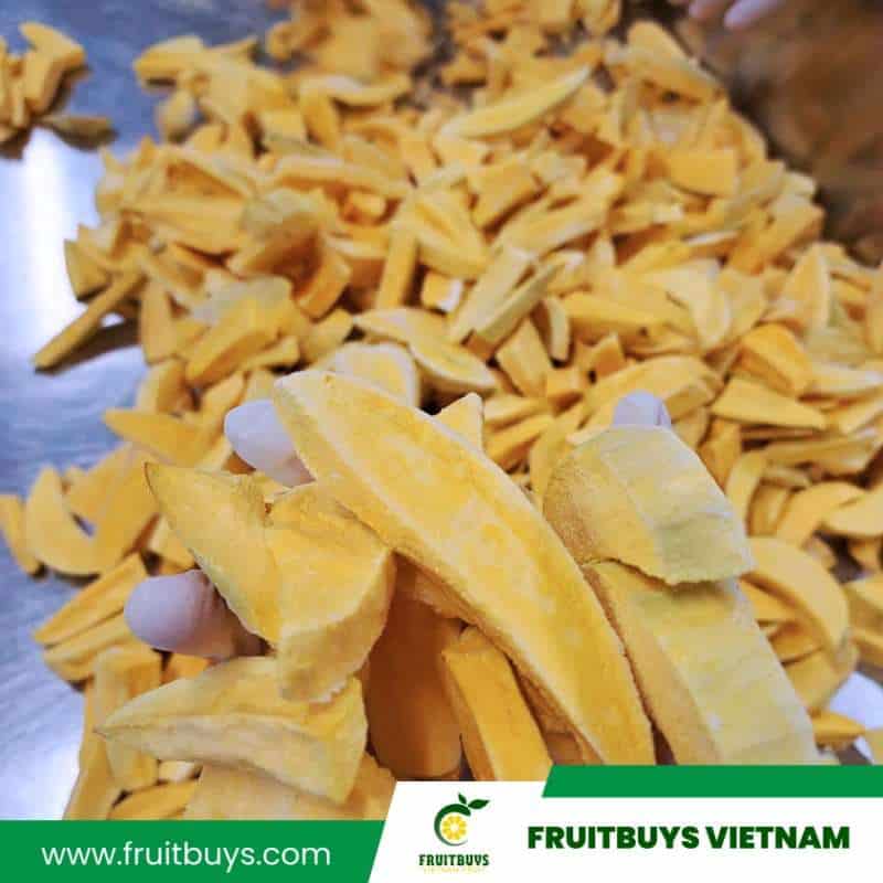 FruitBuys Vietnam  230509 Freeze Dried Mango (23)