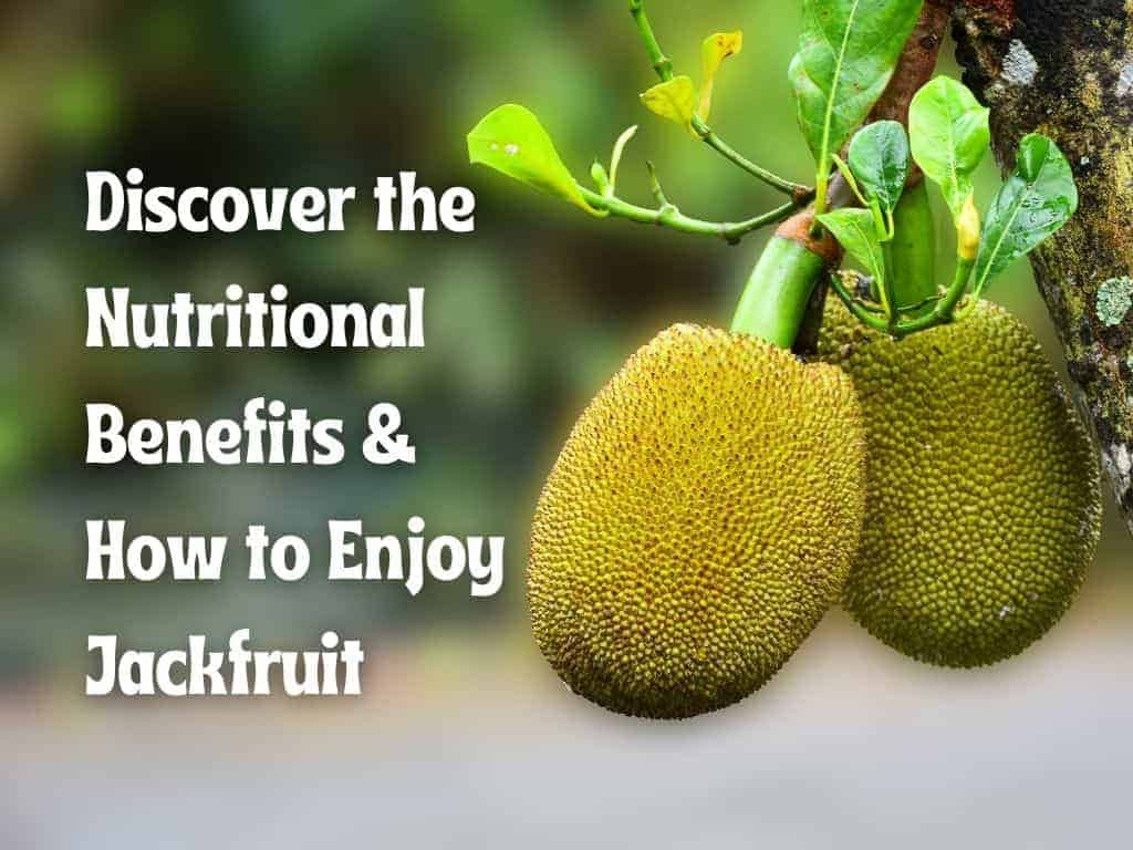 FruitBuys Vietnam Discover The Nutritional Benefits & How To Enjoy Jackfruit