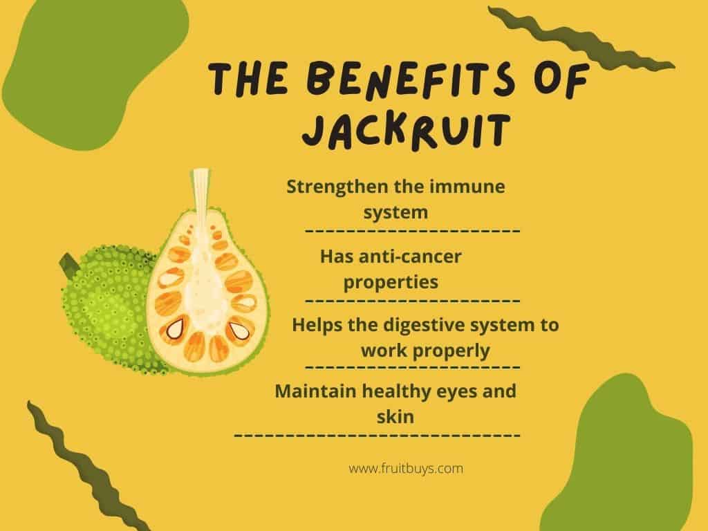 FruitBuys Vietnam Jackfruit Benefits