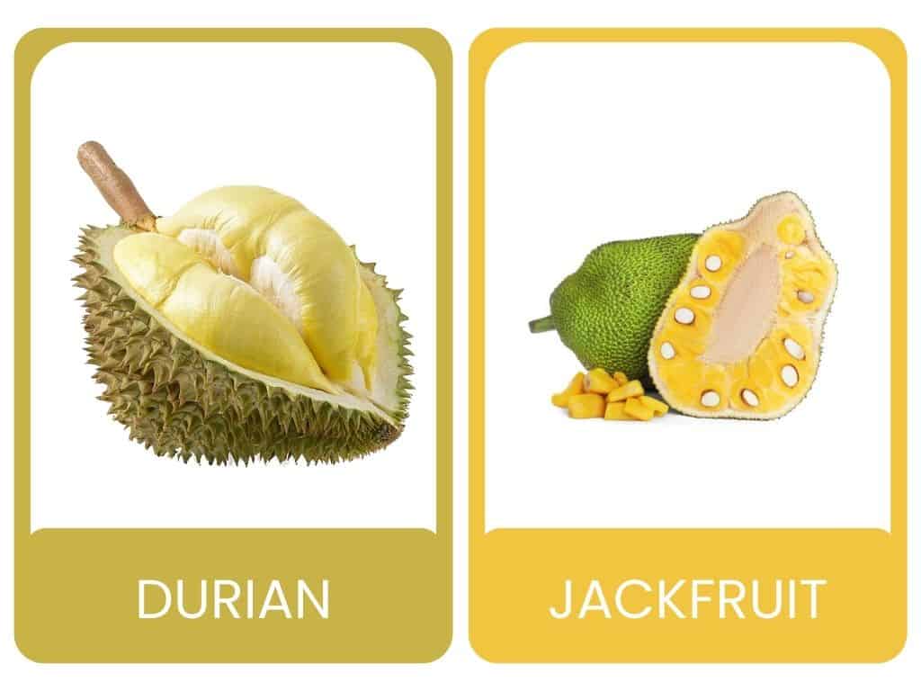 FruitBuys Vietnam Durian Vs Jackfruit