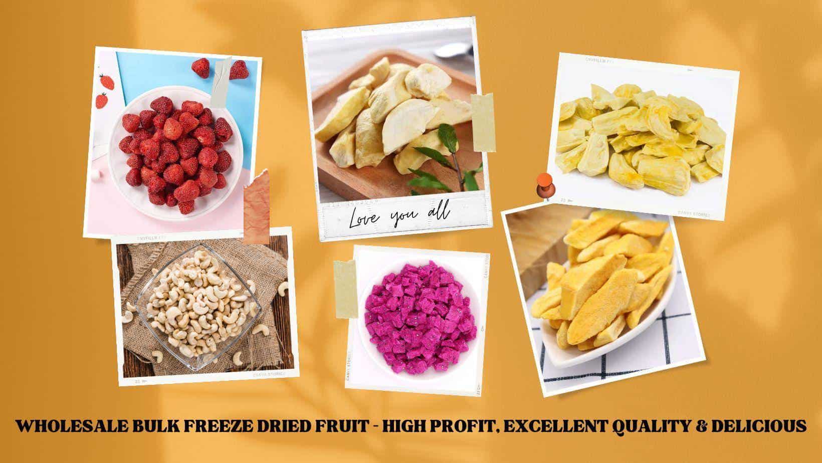 FruitBuys Vietnam  Wholesale Bulk Freeze Dried Fruit – High Profit, Excellent Quality & Delicious
