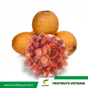 FruitBuys Vietnam  230519 Soft Dried Sapodilla (no Sugar)