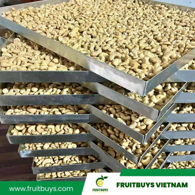 FruitBuys Vietnam Freeze Dried Cashews Nut (3)
