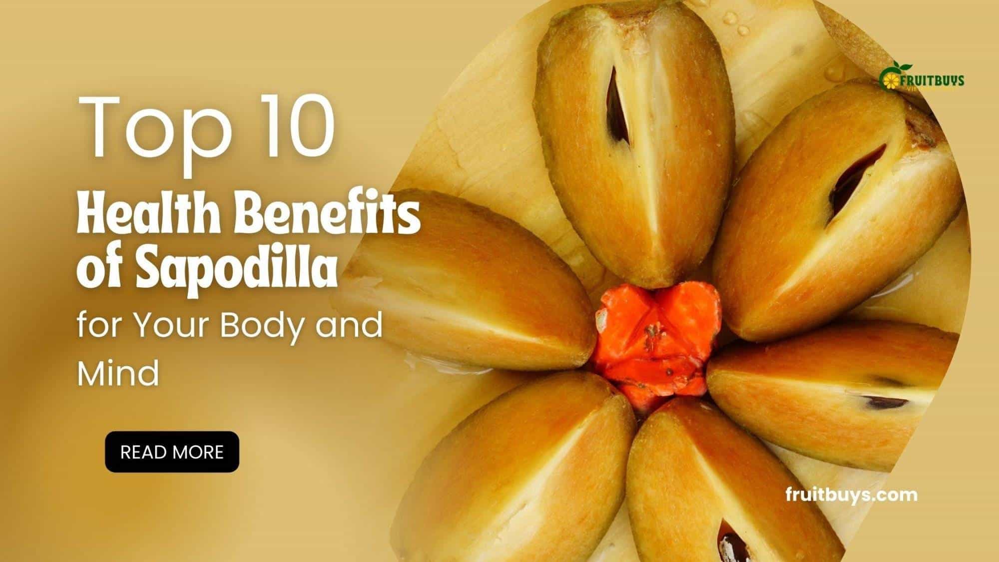 FruitBuys Vietnam  Top 10 Health Benefits Of Sapodilla For Your Body And Mind