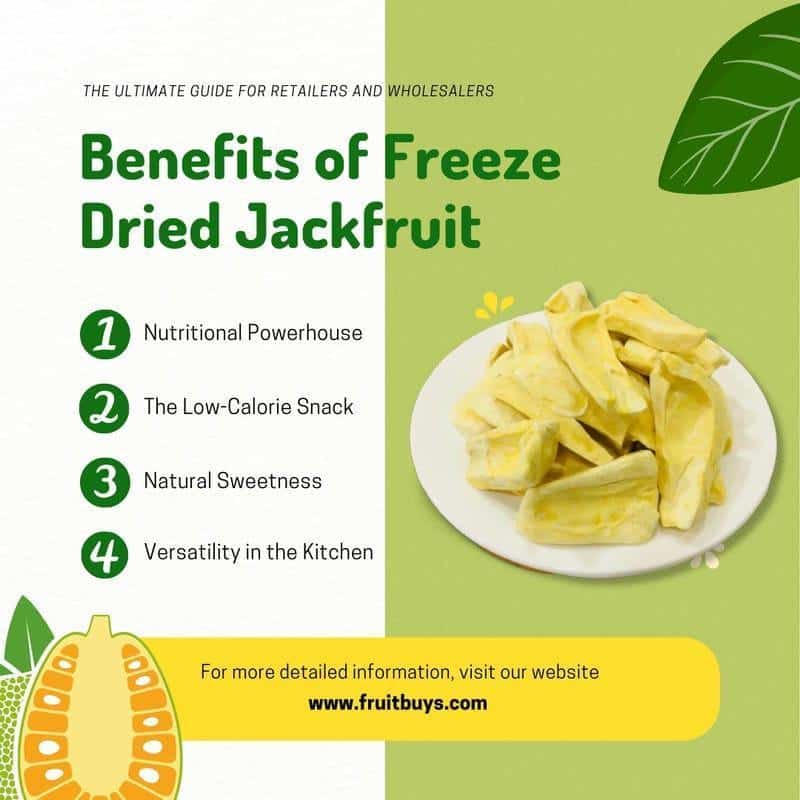 FruitBuys Vietnam Benefits Of Freeze Dried Jackfruit 23110