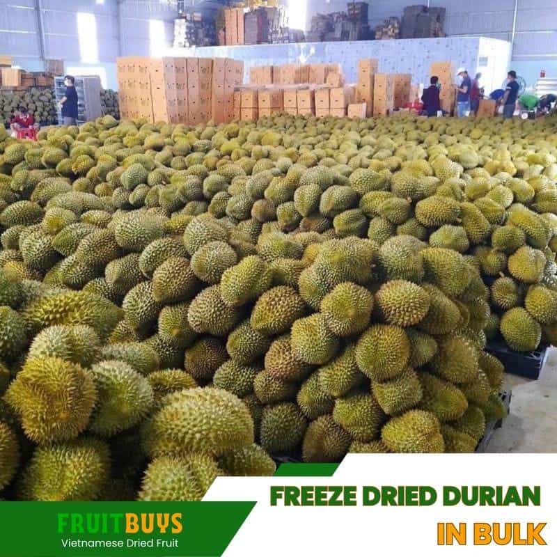 FruitBuys Vietnam Freeze Dried Durian In Bulk 23930