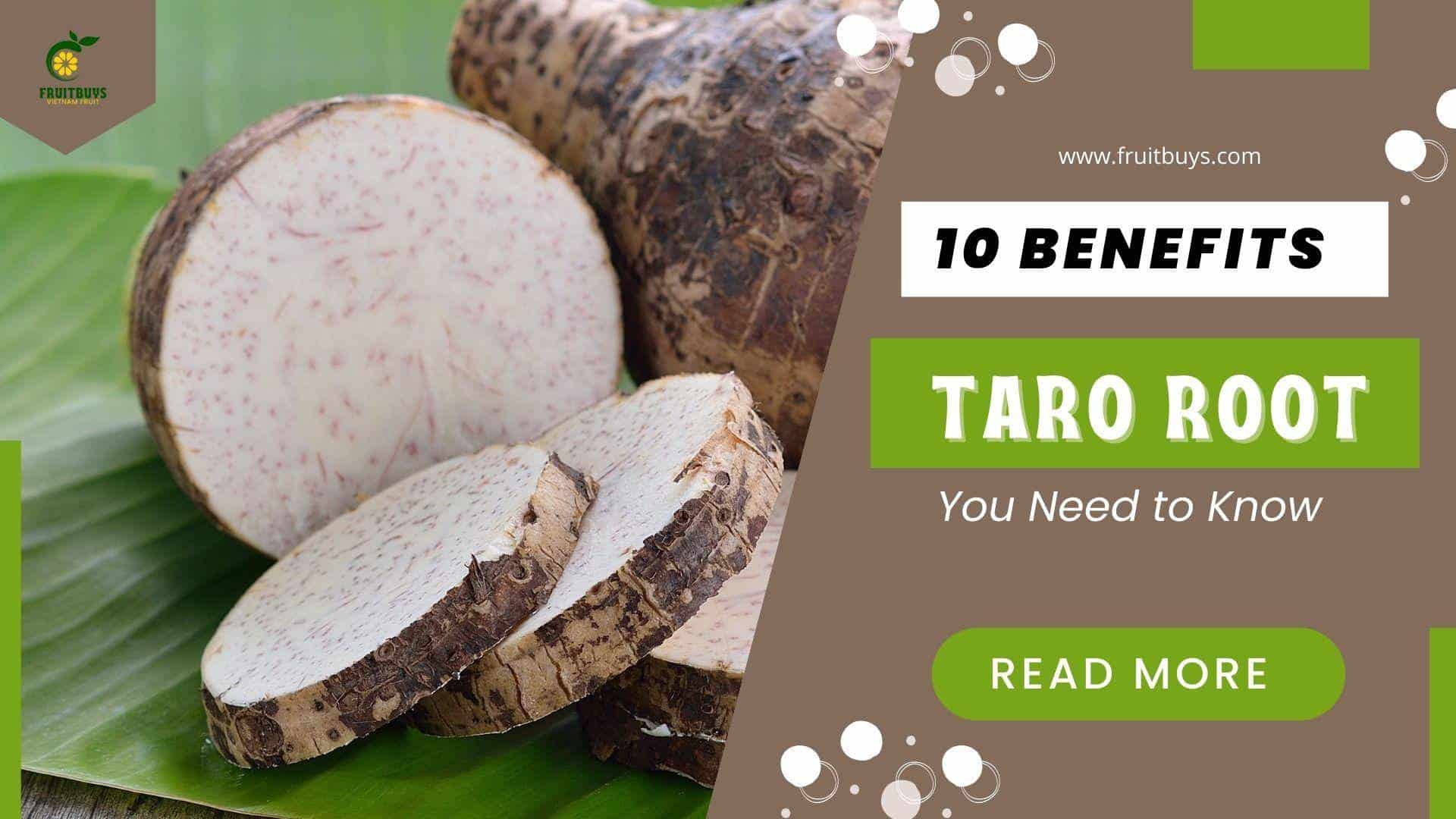 FruitBuys Vietnam  10 Surprising Health Benefits Of Taro Root You Need To Know