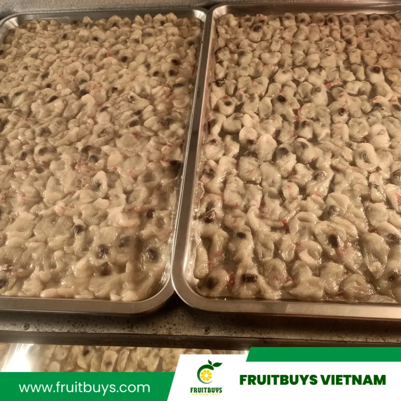 FruitBuys Vietnam 230517 Dried Soursop Low Sugar Snacks (24)
