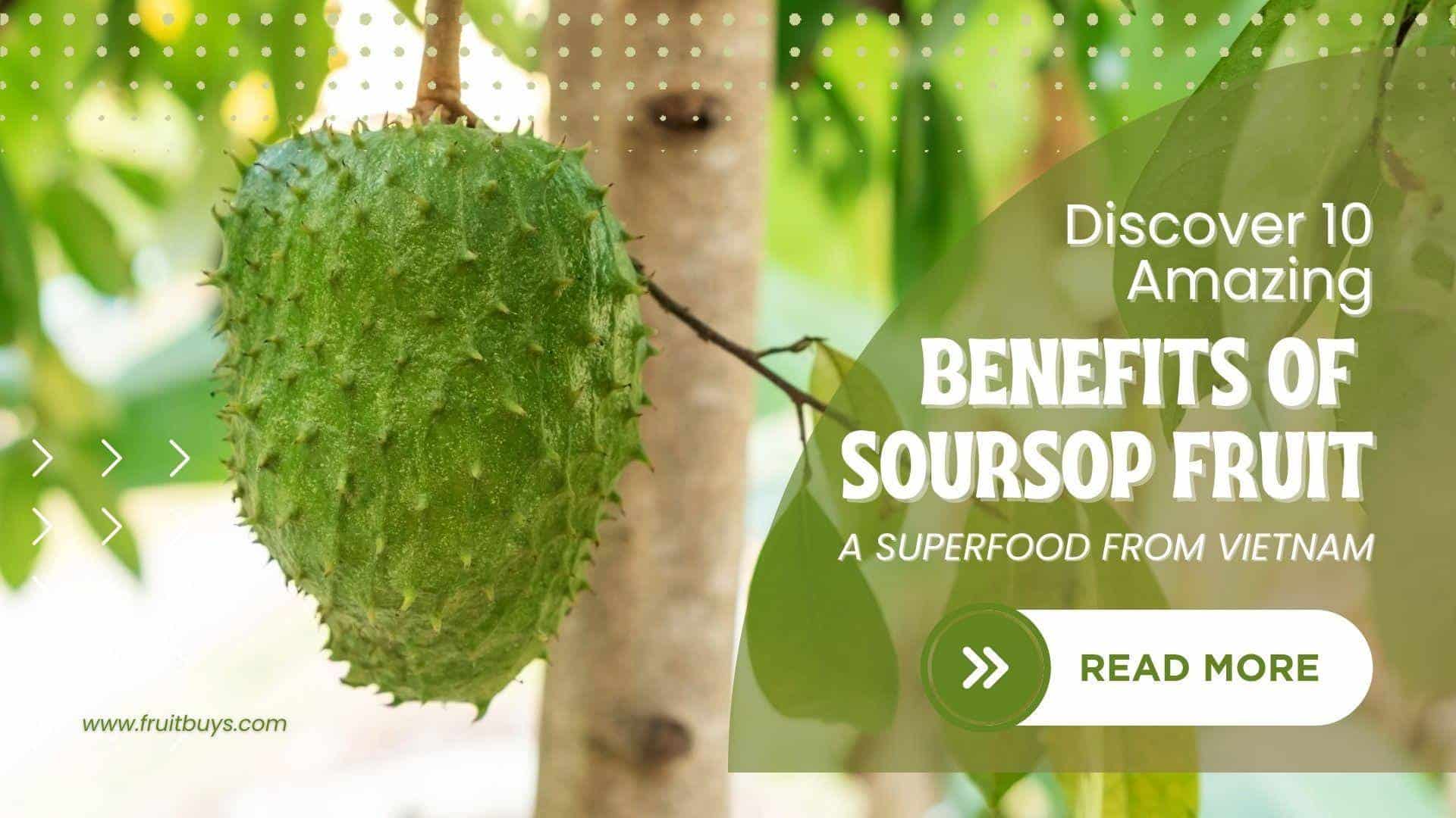 FruitBuys Vietnam  Discover 10 Amazing Benefits Of Soursop Fruit A Superfood From Vietnam