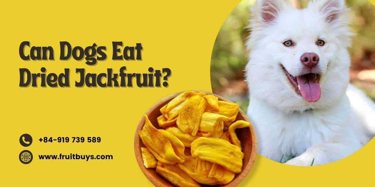 FruitBuys Vietnam  1280 Can Dogs Eat Dried Jackfruit