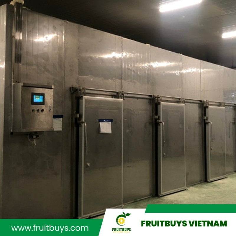 FruitBuys Vietnam 2304 Hot Air Drying (1)
