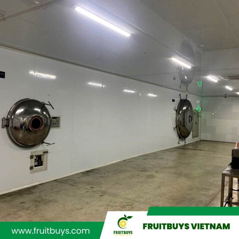 FruitBuys Vietnam 230425 Freeze Drying (3)