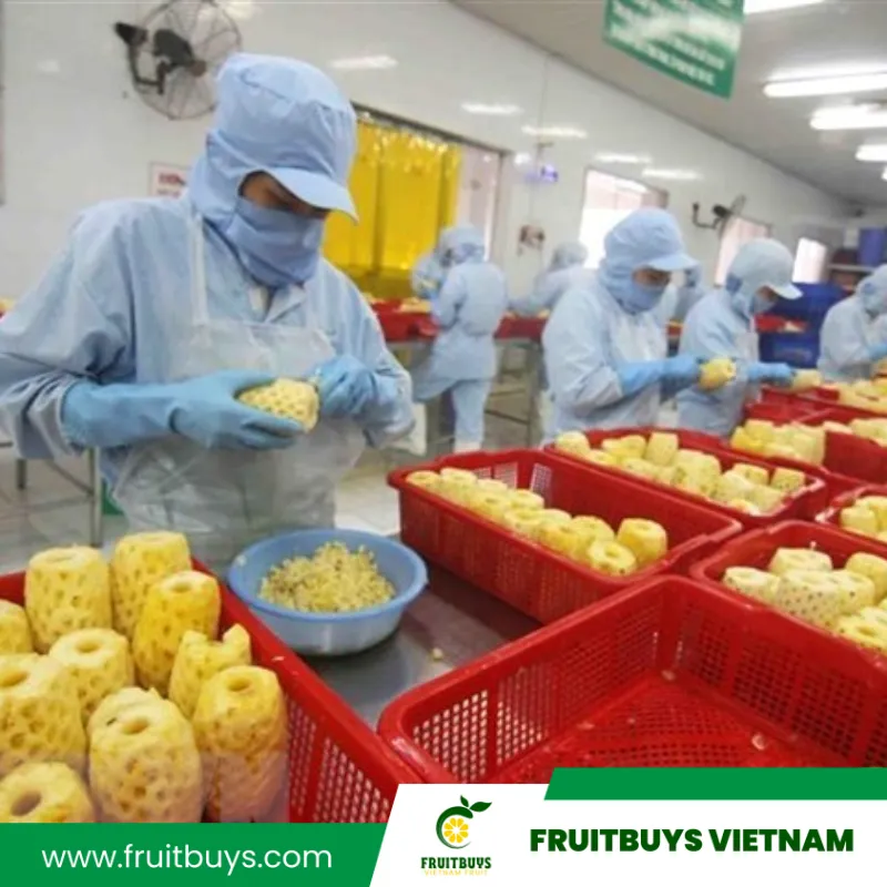 FruitBuys Vietnam  230517 Dried Pineapple