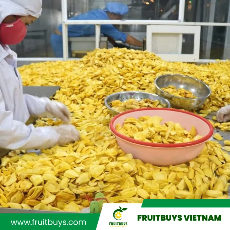 FruitBuys Vietnam  230519 Jackfruit Chips Vegan Snacks (2)
