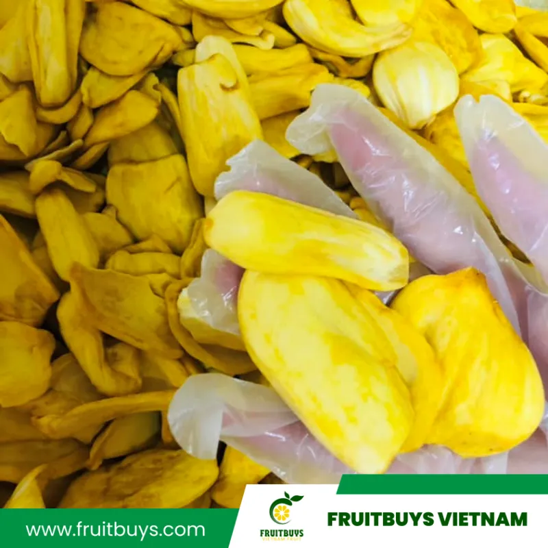 FruitBuys Vietnam  230519 Jackfruit Chips Vegan Snacks (6)