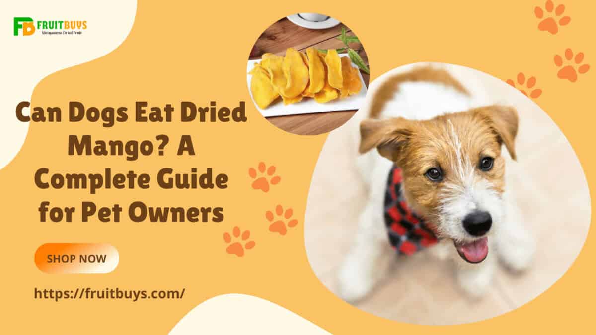 Can Dogs Eat Dried Mango? A Complete Guide For Pet Owners FruitBuys