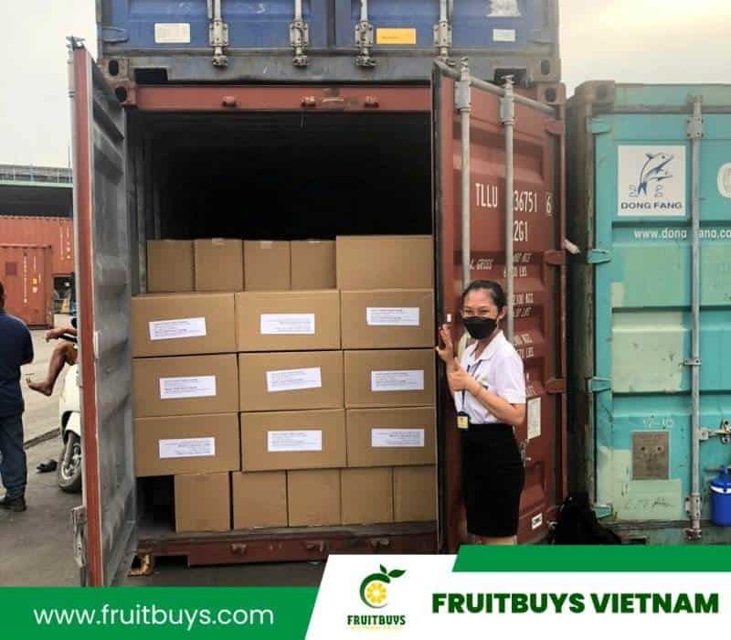 FruitBuys Vietnam Delivery Of Dried Fruit 2304 (2)