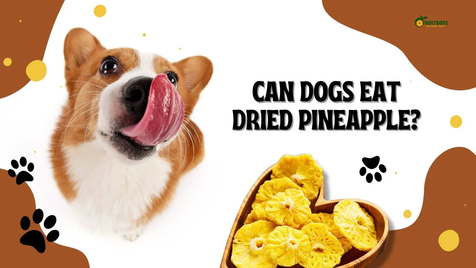 are dried pineapples bad for dogs