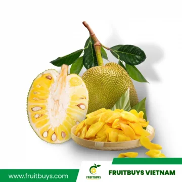 FruitBuys Vietnam  230514 Dried Jackfruit (low Sugar) (2)